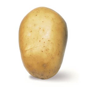 Kartoffel Lady Christl