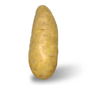 Annabelle Kartoffel