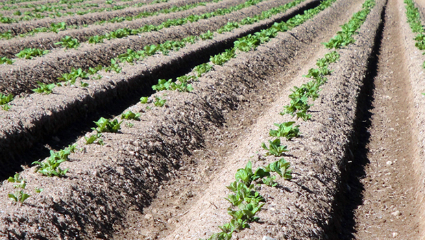 Blaser Granges Paccot Blaser Granges Paccot